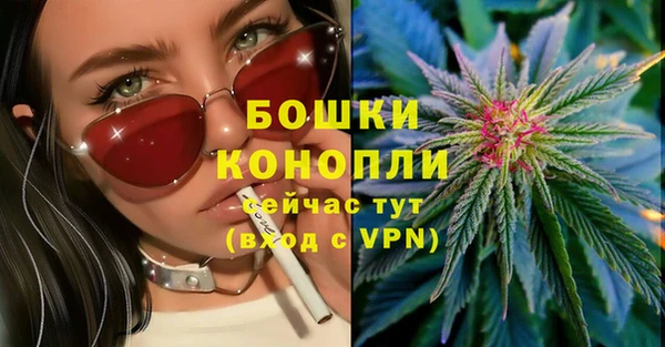 эйфоретик Сосновый Бор
