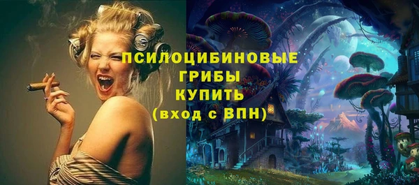 эйфоретик Сосновый Бор