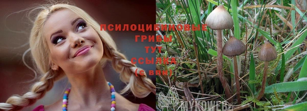 эйфоретик Сосновый Бор