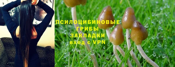 эйфоретик Сосновый Бор
